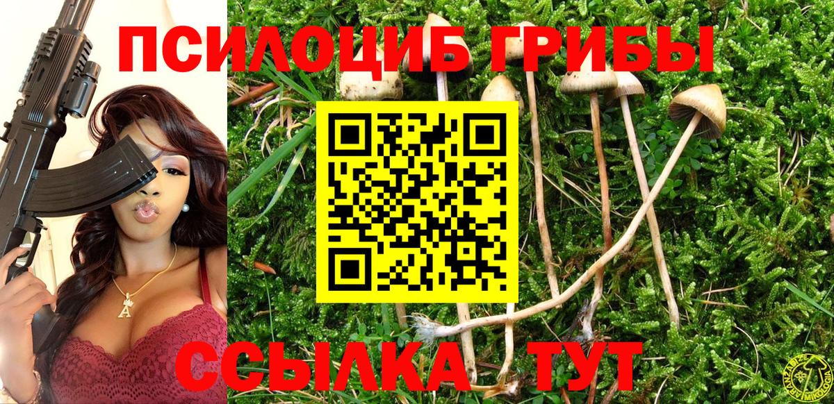Псилоцибиновые грибы мухоморы Королёв
