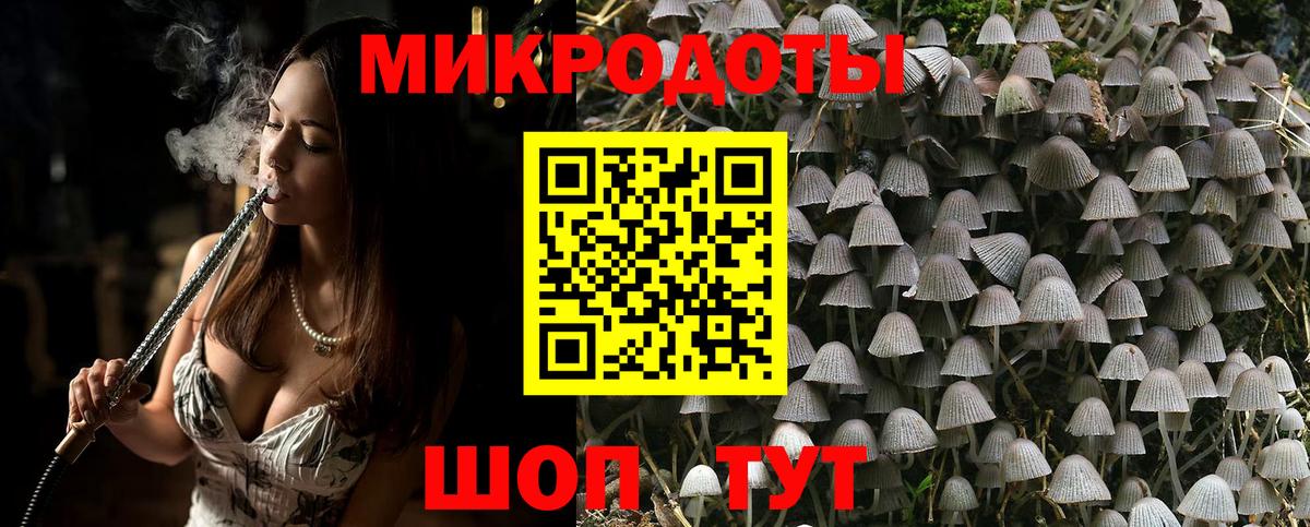 Псилоцибиновые грибы Psilocybine cubensis  Вход с VPN  Королёв 
